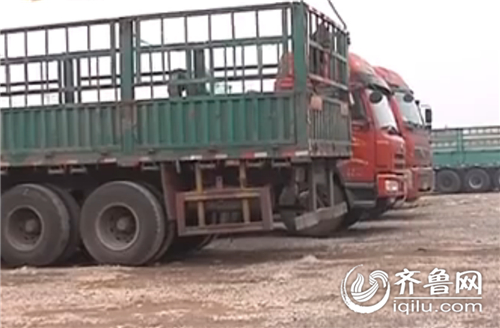 濰坊車主購買貨物險出差錯 太平洋保險承認存疏忽