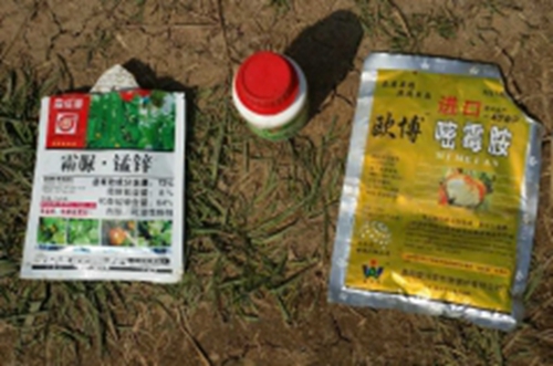 濟寧:錳鋅藥“毒倒”數畝甜瓜 廠家稱不是藥的問題