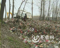 郯城：村頭池塘填滿垃圾惡臭難聞 垃圾車排隊倒垃圾