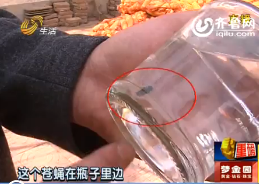 德州：未開瓶“獨占”牌酒里有蒼蠅 廠方認定是假貨