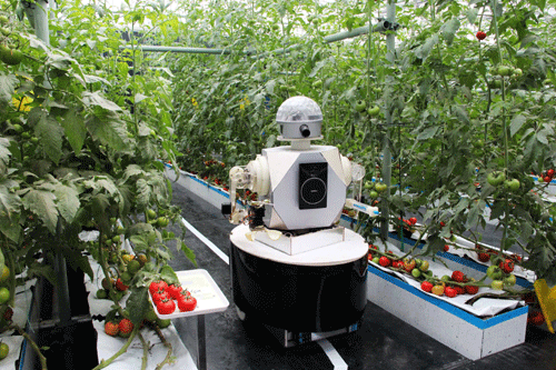 山東壽光舉行國(guó)際蔬菜科技博覽會(huì)