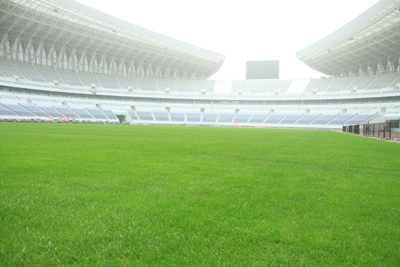 2012倫敦奧運會女足亞洲區決賽即將濟南打響