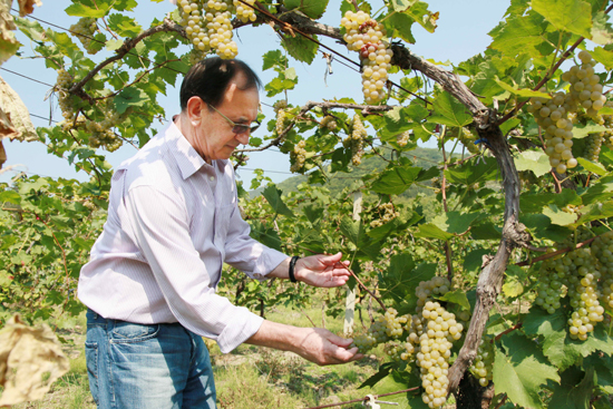 張裕引領中國酒莊酒新時代