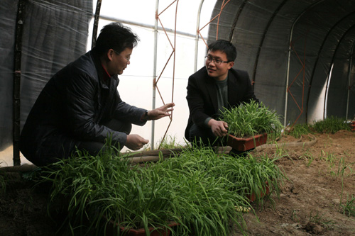 大學生柴會龍的“家庭農場夢”