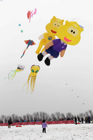 第30屆濰坊國(guó)際風(fēng)箏會(huì)開幕 海內(nèi)外風(fēng)箏高手雪上競(jìng)賽