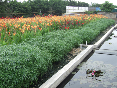 青島啤酒五度蟬聯(lián)“綠公司百強(qiáng)”、位列“國有控股前三甲”