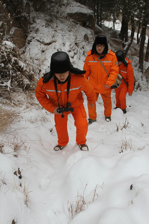 泰山電力人大山上踏出了“第五條登山路”