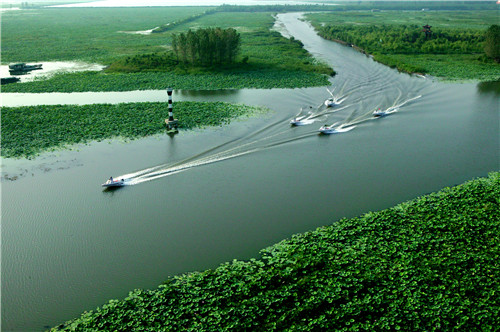 第十屆中國微山湖濕地紅荷節(jié)8月10日開幕