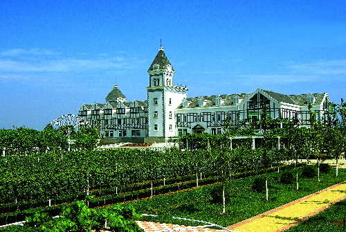 中國進(jìn)入葡萄酒酒莊“戰(zhàn)國時(shí)代”