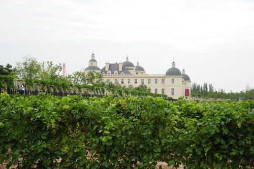 張裕摩塞爾十五世酒莊開業