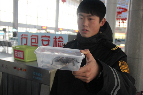 安檢查出毒蜘蛛汽車站暫扣安排住上暖氣房