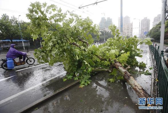 上海全市汛情基本平穩