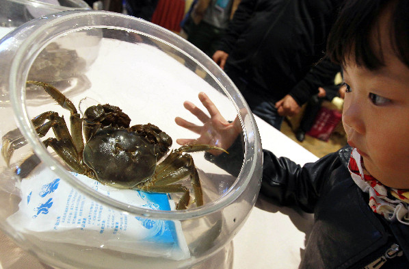 全國河蟹大賽在滬舉行