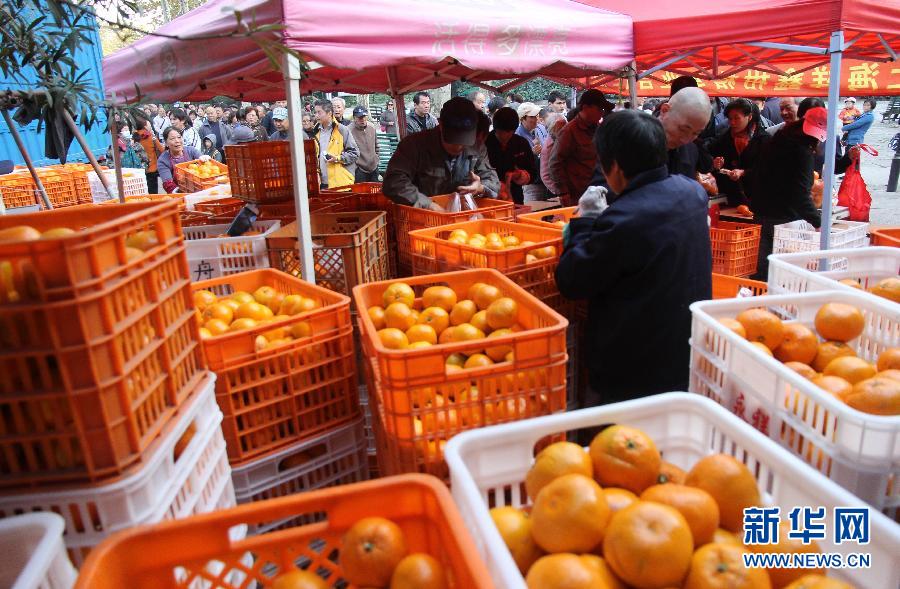 上海四大公園設直銷點助農賣柑橘