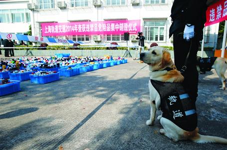 滬軌交查獲違禁品3.2萬件 超28度的酒禁上地鐵