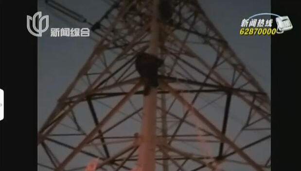 “金融男”因工作壓力大 爬上高壓電線塔欲輕生