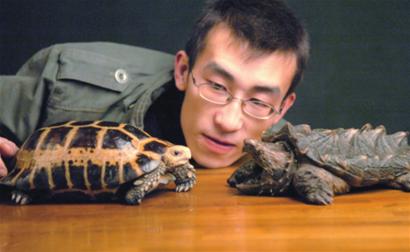 上海市民錯(cuò)買鱷龜后頻棄養(yǎng) 動(dòng)物園收容“龜滿為患”[圖]