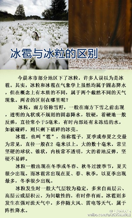 上海今日突下冰粒 網友：噼里啪啦好像下鉆石