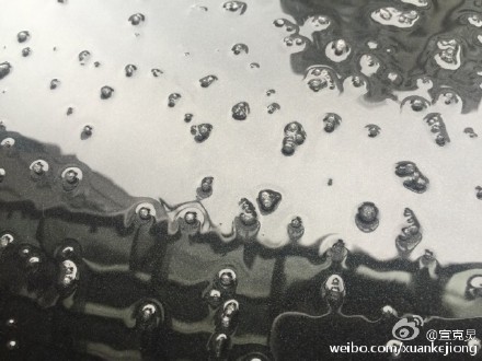 上海今日突下冰粒 網(wǎng)友：噼里啪啦好像下鉆石