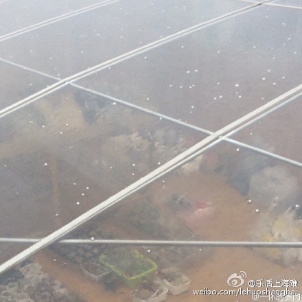 上海今日突下冰粒 網友：噼里啪啦好像下鉆石