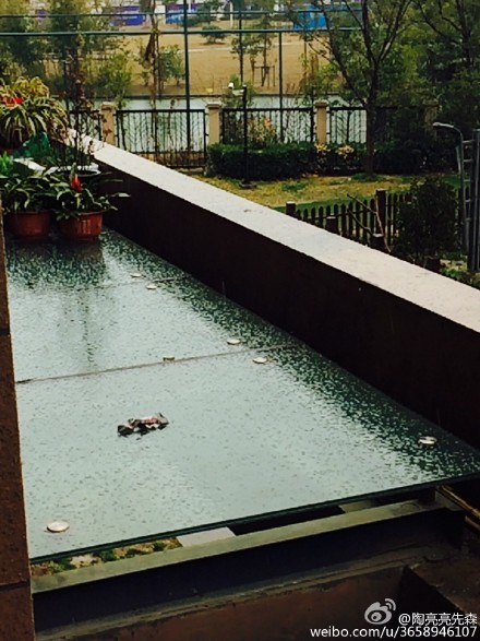 上海今日突下冰粒 網(wǎng)友：噼里啪啦好像下鉆石