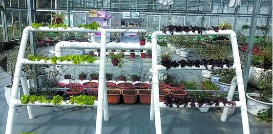 上海:到黃浦江源頭 來一場“周末的綠生活”吧