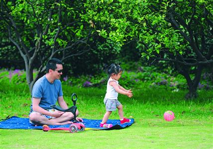 申城18座公園可