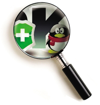 圍觀2010嬉笑怒罵文字狂歡:凡客體、羊羔體