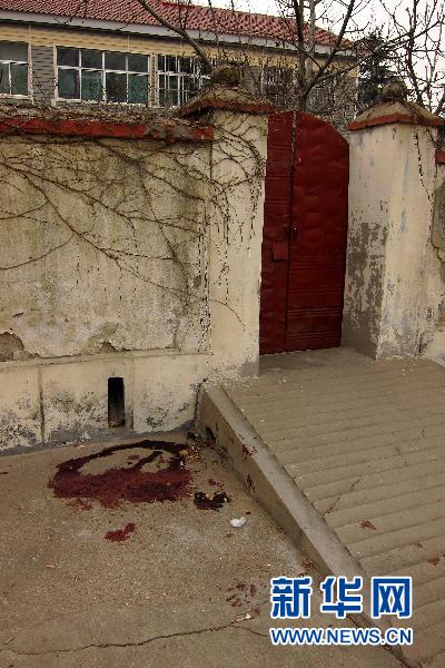 新華調查:山東泰安“1·04”持槍殺人案始末