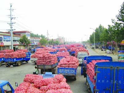 2010年十大假新聞點評
