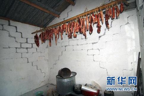 云南盈江4.8級地震致8.06萬人受災 救災有序開展