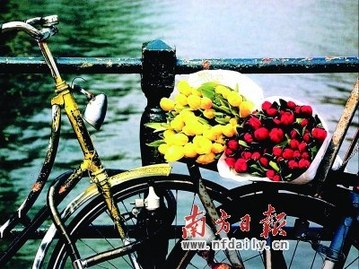 情人節怎么過最幸福？單身情侶過節攻略（組圖）