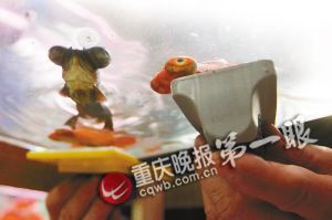 重慶退休工現場表演揭秘春晚金魚魔術(組圖)