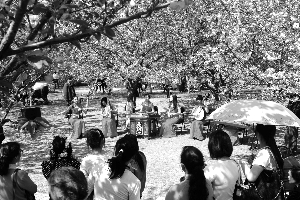 北京昨日30.3℃十年同期最熱 森林火險(xiǎn)等級(jí)升至一級(jí)