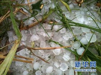 廣東發(fā)生雷雨大風冰雹災害 已造成12人死亡