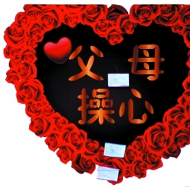 家長(zhǎng)相親會(huì)7年之癢:選媳像選妃 淘婿如淘金(圖)