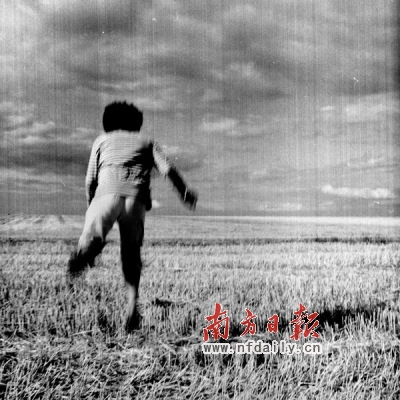 “麥兜族”奔波在追夢的路上 腳踏實地默默奮斗