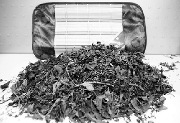 茶葉枕內(nèi)芯充滿樹枝泥巴 廠家:茶葉只有20%