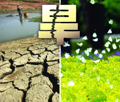 江蘇全省干旱10年罕見:湖底開汽車 白粉蝶泛藍