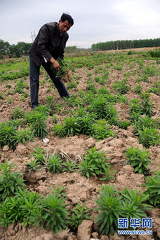 長(zhǎng)江中游遭罕見旱情