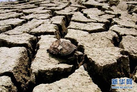 長江中游遭罕見旱情
