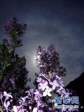 山西五臺山出現(xiàn)長達(dá)10小時“日暈”現(xiàn)象(圖)