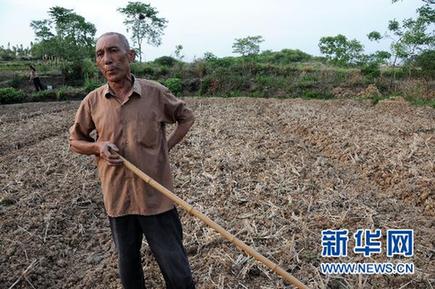調查:千湖之省遭遇大旱之痛(組圖)