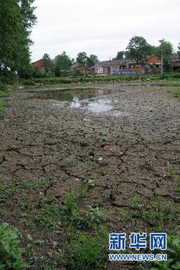 調(diào)查:千湖之省遭遇大旱之痛(組圖)