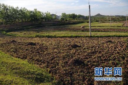 調(diào)查:千湖之省遭遇大旱之痛(組圖)