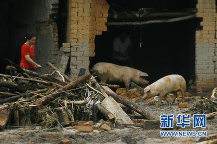 直擊湖南岳陽山洪泥石流災區