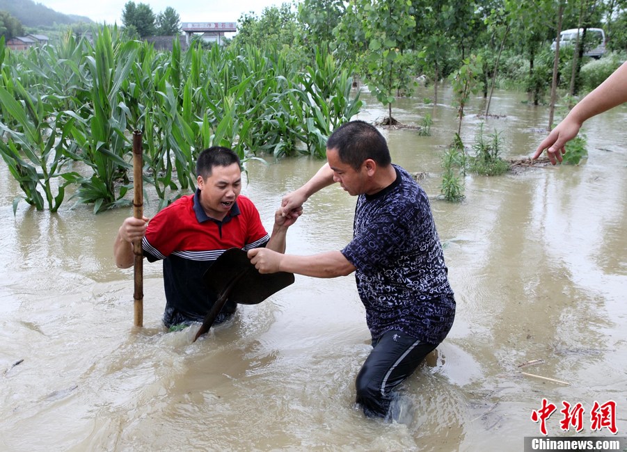 南方近日連遭強降雨 浙江發(fā)布首個暴雨黃色預(yù)警