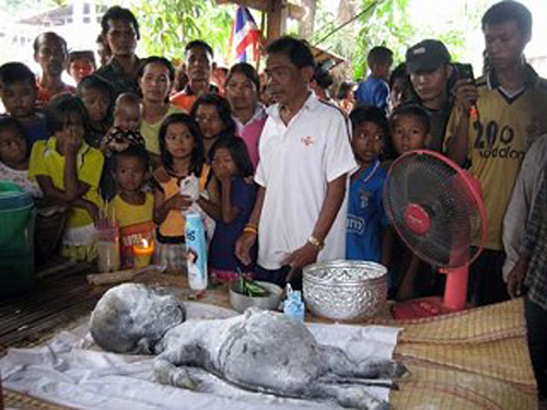 盤(pán)點(diǎn)那些真真假假的“外星人”事件(組圖)