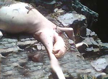 盤點那些真真假假的“外星人”事件(組圖)