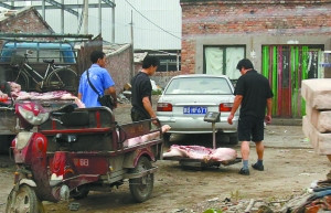 如何斬斷“泔水豬”利益鏈?